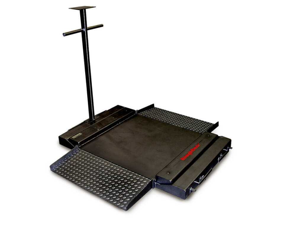 Rice Lake Mechanical Floor Scale - LB and KG
